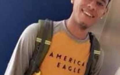 Miner crushed by falling tree