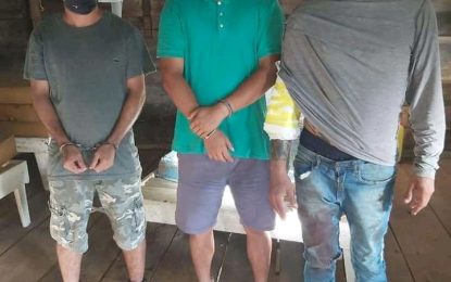 Pilot, passenger charged for illegal entry