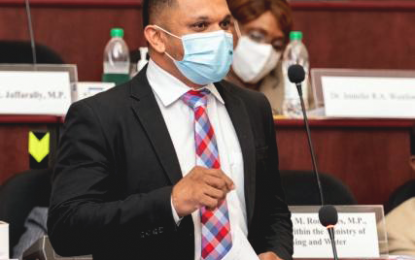 Petroleum task force to explore gas to shore