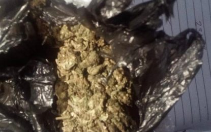 Uitvlugt man takes rap for ganja found in pick-up