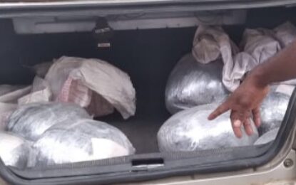 Taxi driver caught with ganja in car trunk granted bail