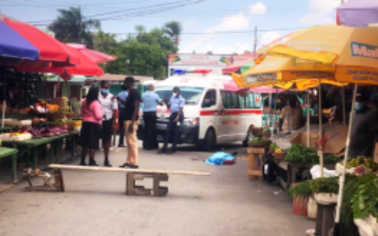 Farmer committed to stand trial for killing handyman