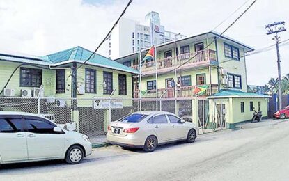 New log policy to allow sawmillers to export logs from today