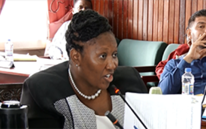 City Council divided over hiring of new Town Clerk, others
