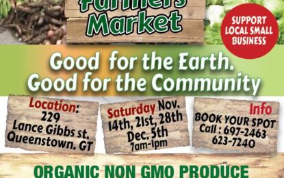 The Almond Tree Farmer’s Market: Paving the way for eco-friendly produce