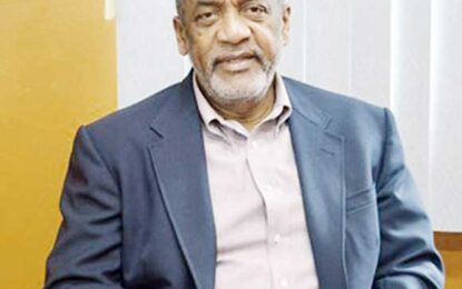 Stop miners from causing irreparable damage to environment – Former EPA Head