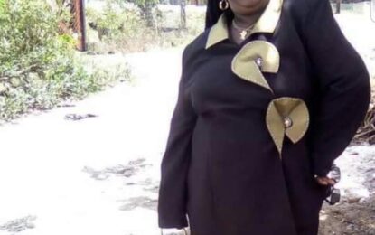 Son admits to robbery but denies killing mom