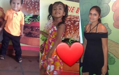 Parents seek help in finding daughter, grandkids
