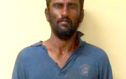 Angoy’s Avenue man charged with break and enter, larceny on Courts, Berbice.