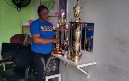 Dominoes action set for Meadowbrook Gardens this weekend