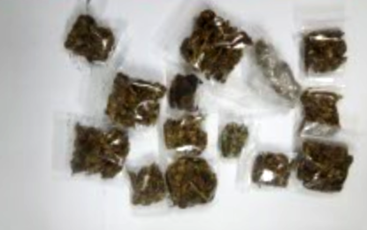 Construction worker nabbed with ganja