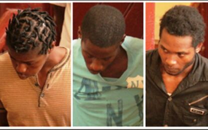Trio gets 11 and a half years each for killing of Beharry Group engineer