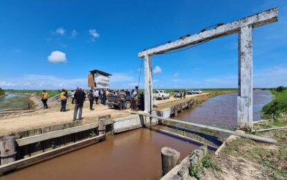 Local expertise for West Dem four-lane highway – President Ali