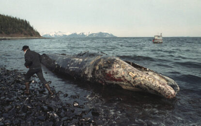 Guyana foots the bill for any disaster at Liza Phase One project