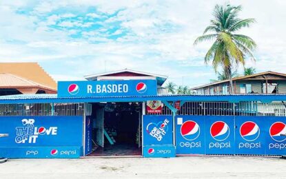 Riverview business woman, family severely beaten and robbed