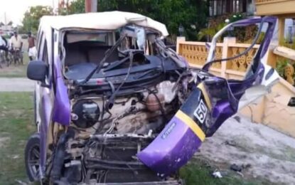 Woman dies in WCB minibus accident – others injured