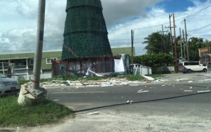 Maintaining a tradition with the Rahaman’s Christmas Tree