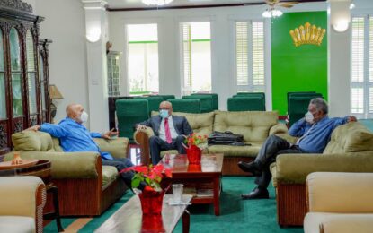 Former presidents mull tougher Racial Hostility Act, stronger penalties