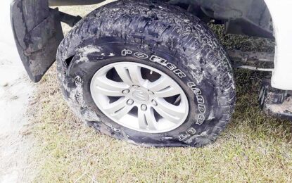 Escaping illegal partygoers slash police vehicle’s tyre