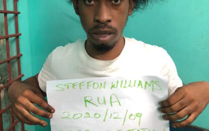 La Grange robber captured, remanded after schoolboy attack