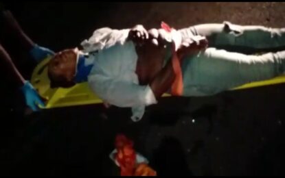 Woman suffers broken leg after Vlissengen Road accident