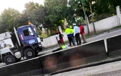 Cop struck down while directing traffic