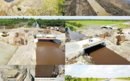 Government spends $500M on 4km road to link Diamond and Eccles