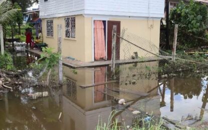 PM, Agriculture Minister visit flood-affected Charity