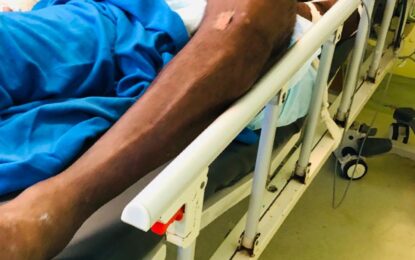 Family offers reward as city businessman remains hospitalized from hit-and-run