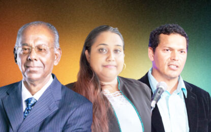 Joinder decries lack of representation in parliamentary standing committees