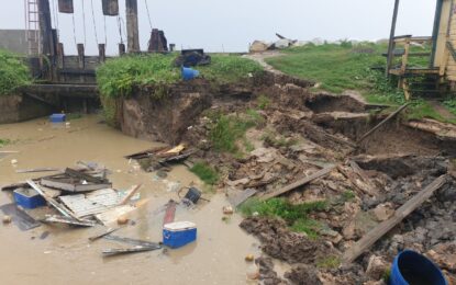 Agri. Minister establishes taskforce to monitor flood prone areas