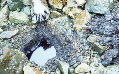 EPA makes no commitment to correct outdated insurance provision in Liza One permit