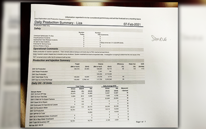 Jagdeo commits to making oil production statements available to the media