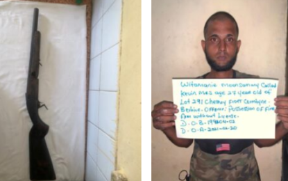 Labourer found with firearm in backpack