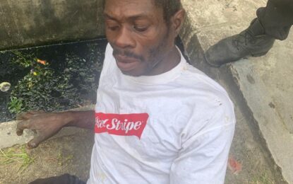 Menace gets 18 months for stealing from Nandy Park residents