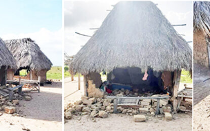 Ongoing assessments to help guide Guyana’s preparedness for future earthquake tremors – CDC