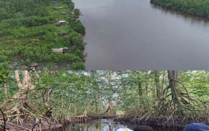 Study commences into mammal biodiversity in Barima-Mora passage