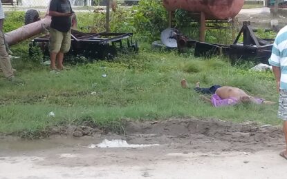 Pensioner drowns after falling into Koker