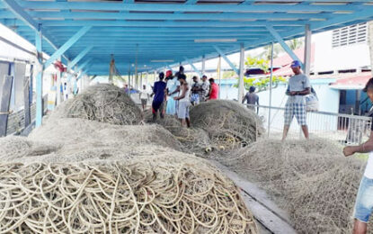 Local fishermen complain of catching hell in Guyana’s waters