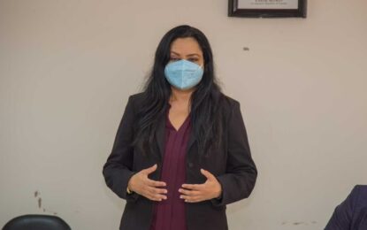 Orientation held for domestic violence hotline operators