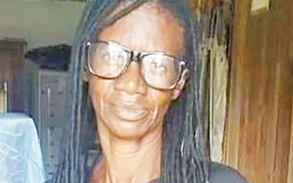 Man accused of killing mother-in-law committed to stand trial