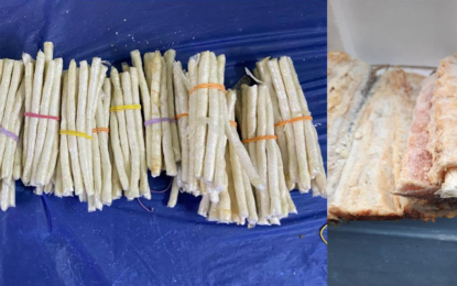 Cocaine found in bones of salted fish destined for Miami