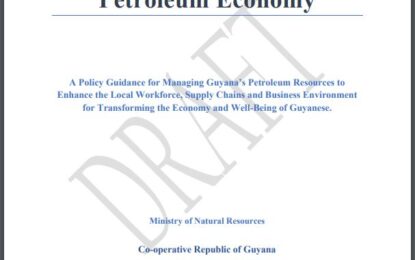 Govt. stands by “plagiarized” local content targets