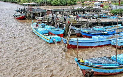 Bilingual pirates cart off food, fuel, fish from fishermen