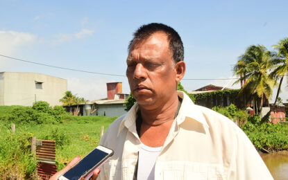 High Court to sell off errant rice millers’ assets to pay off farmers