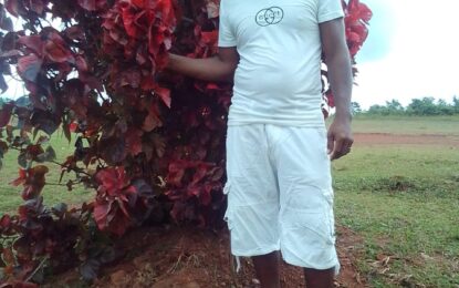 Man stabbed multiple times trying to protect friend