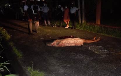 Charlestown man executed on Drysdale Street