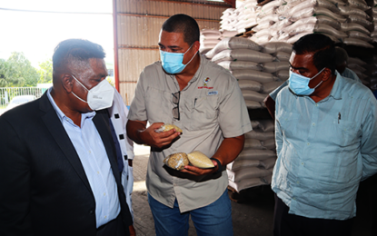Local investors looking to undertake massive corn and soya bean cultivation project