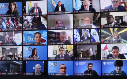 Agri. Minister discusses proposed action for challenges in Guyana’s agriculture sector during LAC Roundtable