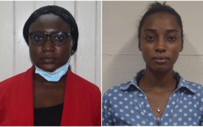 Female cops charged for deleting electronic data in fraud case